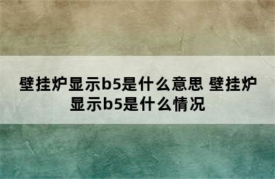 壁挂炉显示b5是什么意思 壁挂炉显示b5是什么情况